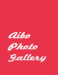 あいぼ カメラ Aibo Photo Gallery